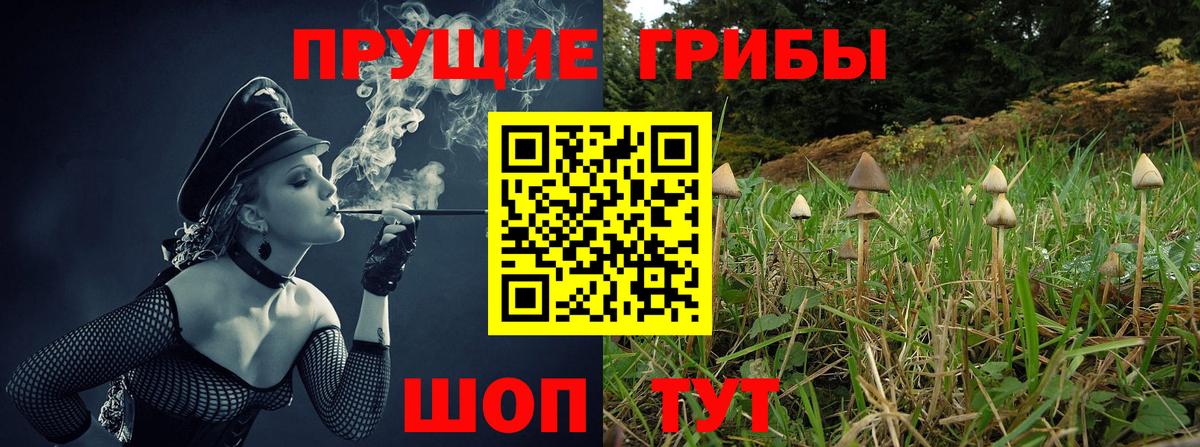 Галлюциногенные грибы Magic Shrooms Гатчина