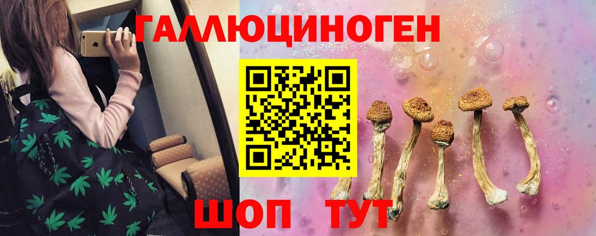 Псилоцибиновые грибы ЛСД  Галлюциногенные грибы Cubensis  Вход с VPN  Гатчина 